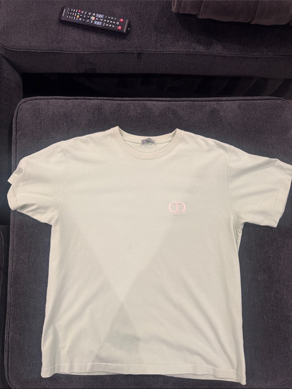 Dior Short Sleeve Crew Tee in Light Sage with Small Logo